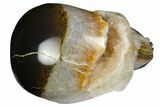 Polished Agate Skull with Quartz Crystal Pocket #148104-1